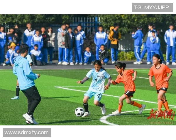 在绿茵场上挥洒汗水与激情踢足球的快乐与成长之旅
